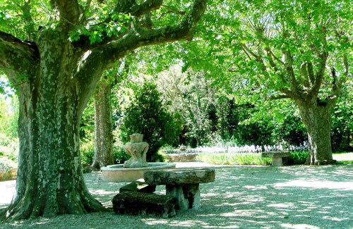 Apt Apartment | Charming cottage with pool, fountains, mill, park and plane trees