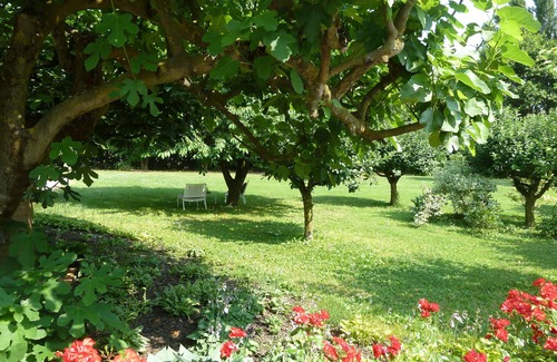 Marcon Apartment | Charming Country House - Apartment in a country house near Venice