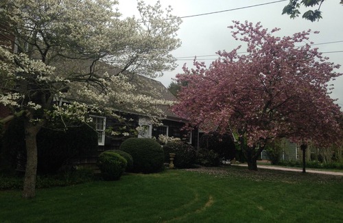 East Hampton North House | Charming East Hampton cottage on large property; steps to village