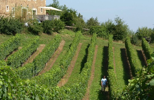Lucq-de-Bearn House | Charming family house - restored 18th century Bearnaise farm