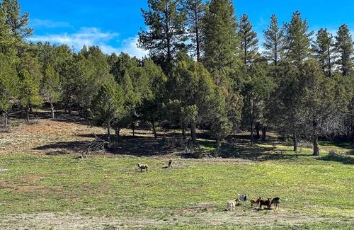 Mancos Apartment | Charming Farm Getaway in Mancos w/Mountain Views!