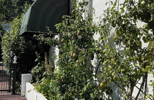 Kruiningen Apartment | Charming Guesthouse & private wellness with AC and WiFi, luxury and romantic!