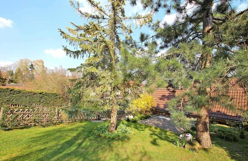Flecken Zechlin Apartment | Charming holiday home - Flecken Zechlin SEE 9991 - SEE 9991