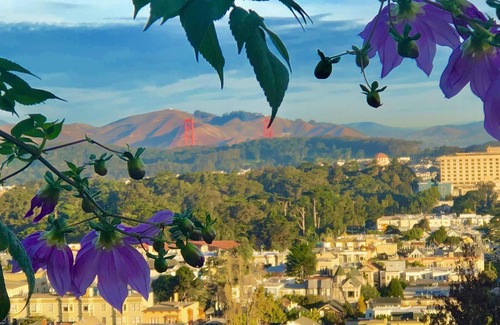 Ashbury Heights Apartment | Charming Large Studio With Expansive View