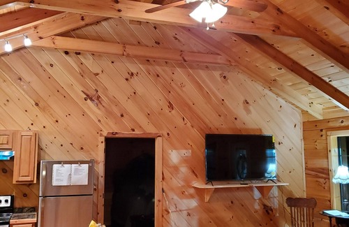 Winona Cabin | Charming ranch style log cabin with AC in scenic Winona