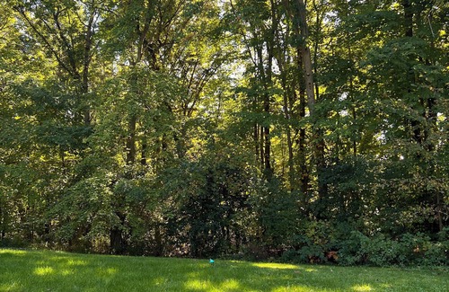 Black Earth Cottage | Charming retro 1-bedroom cottage in welcoming Black Earth with AC