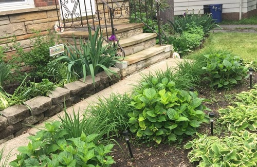 Cleveland House | Charming Stone Cottage-20 min to CCF/CWRU/UH