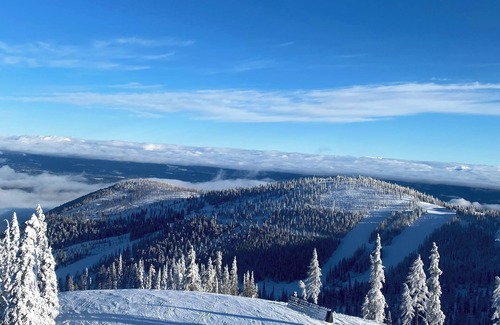 Sandpoint Apartment | Charming studio, close to Schweitzer, lake Ponderay and Sandpoint.