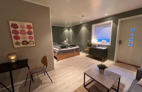 Bodo Apartment | Charming Studio - Free parking - Close to harbour