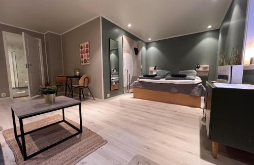 Bodo Apartment | Charming Studio - Free parking - Close to harbour