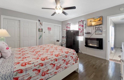 United Central Apartment | Charming studio in with shared Pool & backyard in sereneSt. Pete with WiFi, AC
