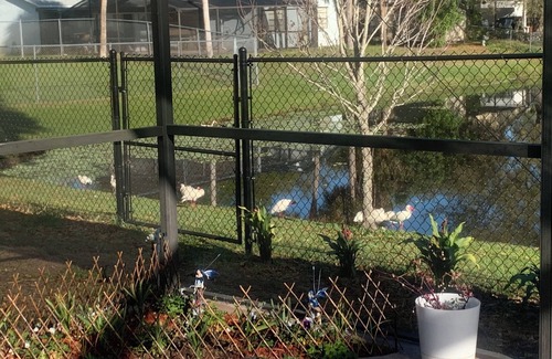 Cocoa Apartment | Charming studio in lovely Cocoa with AC