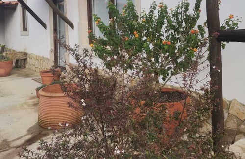 Leiria House | Charming T1 Mãe d'água, 2 km from Óbidos