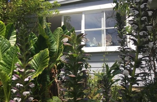 Richmond Cabin | Charnwood Cottage - peaceful and private