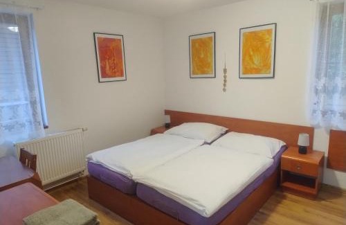 Dolni Moravice Apartment | Chata Martin