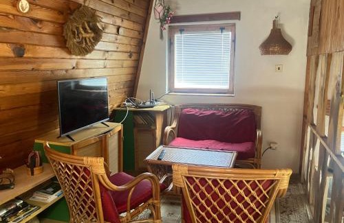 Jivno House | Chata Mrhal, U Zemanů
