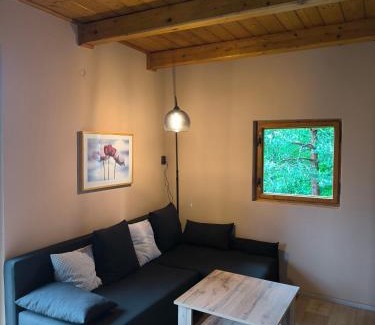 Borova House | Chata Na Kačce