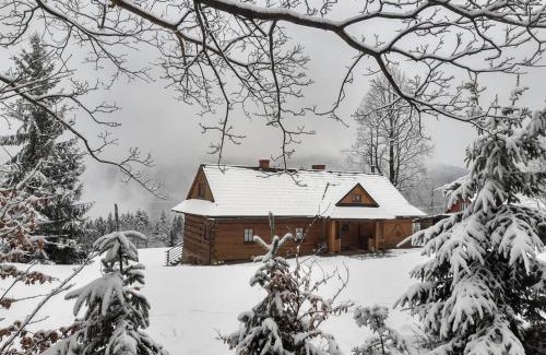 Stryszawa House | CHATA NA LECHÓWCE