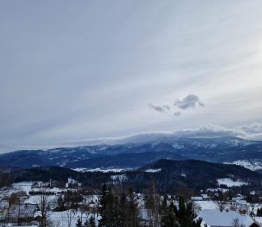 Grzechynia Ski Chalet | Chata Palarówka