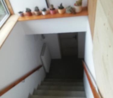 Suchdol nad Luznici Apartment | Chata Suchdol