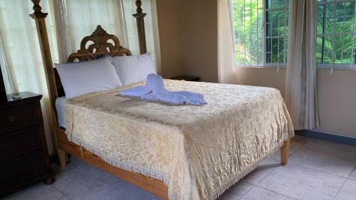 IronShore Estates Hotel | Chaudhry Second Floor Single Suite