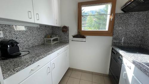 Celerina-Schlarigna Apartment | Chesa Pedra - Celerina