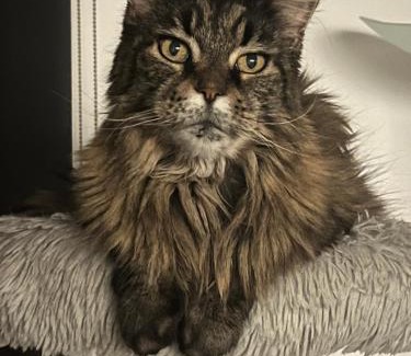 Rosheim Bed & Breakfast | Chez Marie