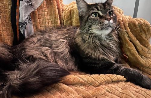 Rosheim Bed & Breakfast | Chez Marie