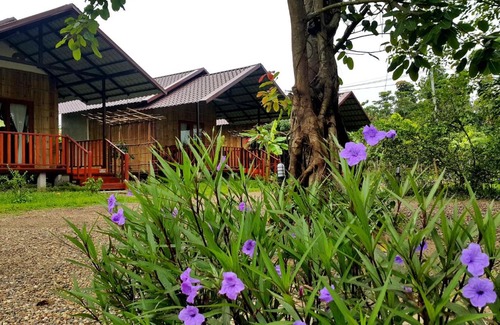 Chiang Dao Resort | Chiang Dao Reset