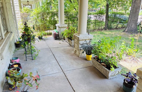 Midtown Apartment | Chic Midtown Studio in Central Gardens – Safe, Stylish & Convenient