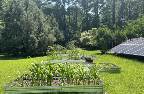 Bethera House | Chicken Creek Retreat in Jamestown, SC. Pet friendly, veggies and eggs included!