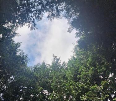 Spangereid House | Child and Pet friendly house