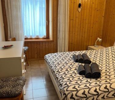 Auronzo di Cadore Apartment | Ciasa Giulia