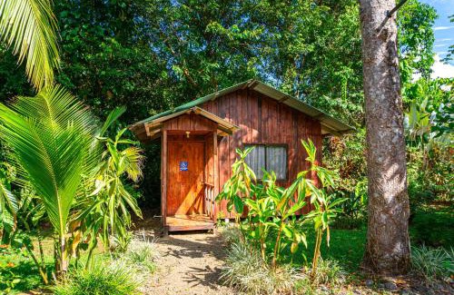 Drake Bay Hotel | Citronela Lodge Corcovado