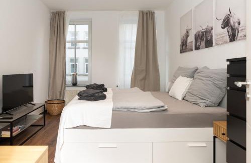 Zentrum-Nord Apartment | City Apartment am Zoo & Stadtkern