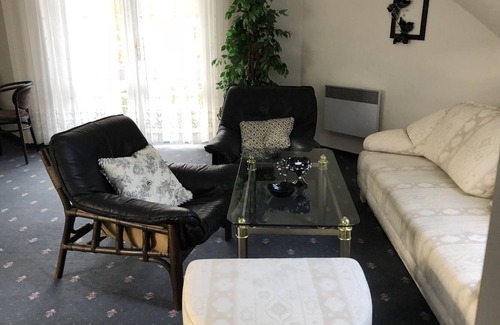 Loket House | City center 3 min, on the river Eger, canoeing, 7 km from Karlovy Vary,