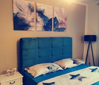 Pirot Apartment | City Center Apartment JOTIC