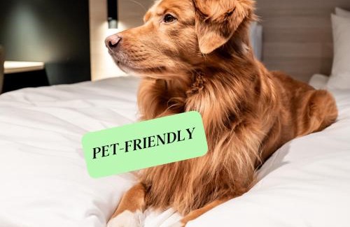 Arstad Hotel | Citybox Bergen Danmarksplass