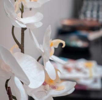 San Lazzaro Bed & Breakfast | Civico 8 B&B - Appartamento