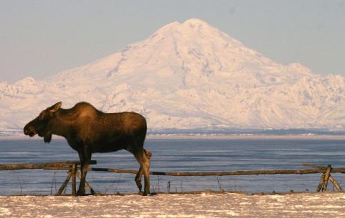 Clam Gulch Hotel | Clam Gulch Lodge