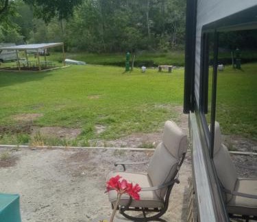 Crystal River Other | Clam haven