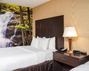 Harrisonburg Hotel | Clarion Pointe Harrisonburg