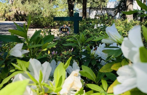 Sea Island House | Classic Marshfront Sea Island Cottage! Huge Game Room! Steps to The Beach! BIKES