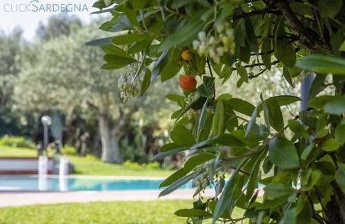Alghero Villa | ClickSardegna Villa Angelica with pool and playhouse
