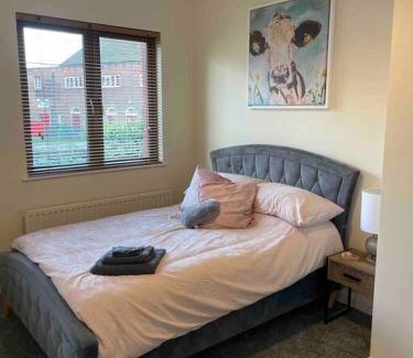 Belfast Villa | Close to Belfast City Centre.Modern Opened Planned