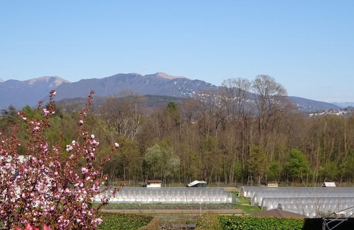 Albiolo Apartment | Close to Como and Switzerland, quiet apartment in villa with private garden