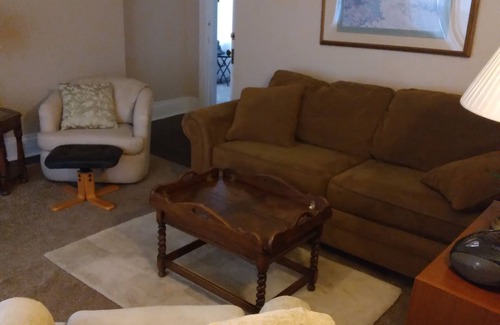 Saginaw Apartment | Close to movie theater, restaurants, and old town district hockey tournament.