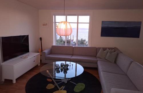 Hundhammeren House | Close to the Airport and Trondheim