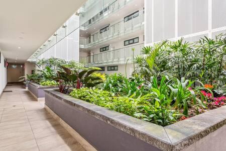 Dee Why Apartment | Coastal 2-Bed Apartment near Beach
