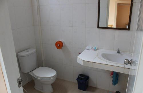 Koh Tao Hotel | Coco Palm Hotel Koh tao